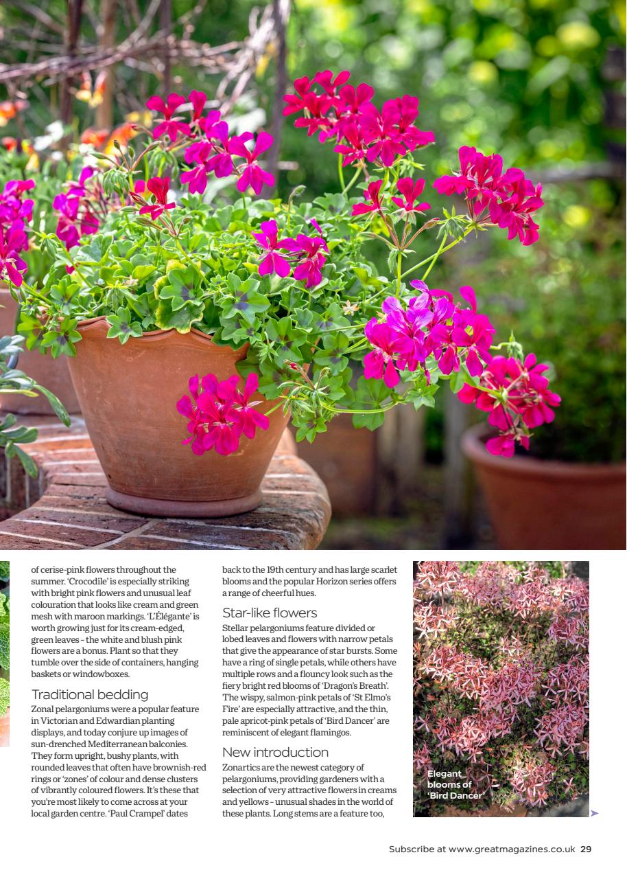 Garden Answers Preview Pages