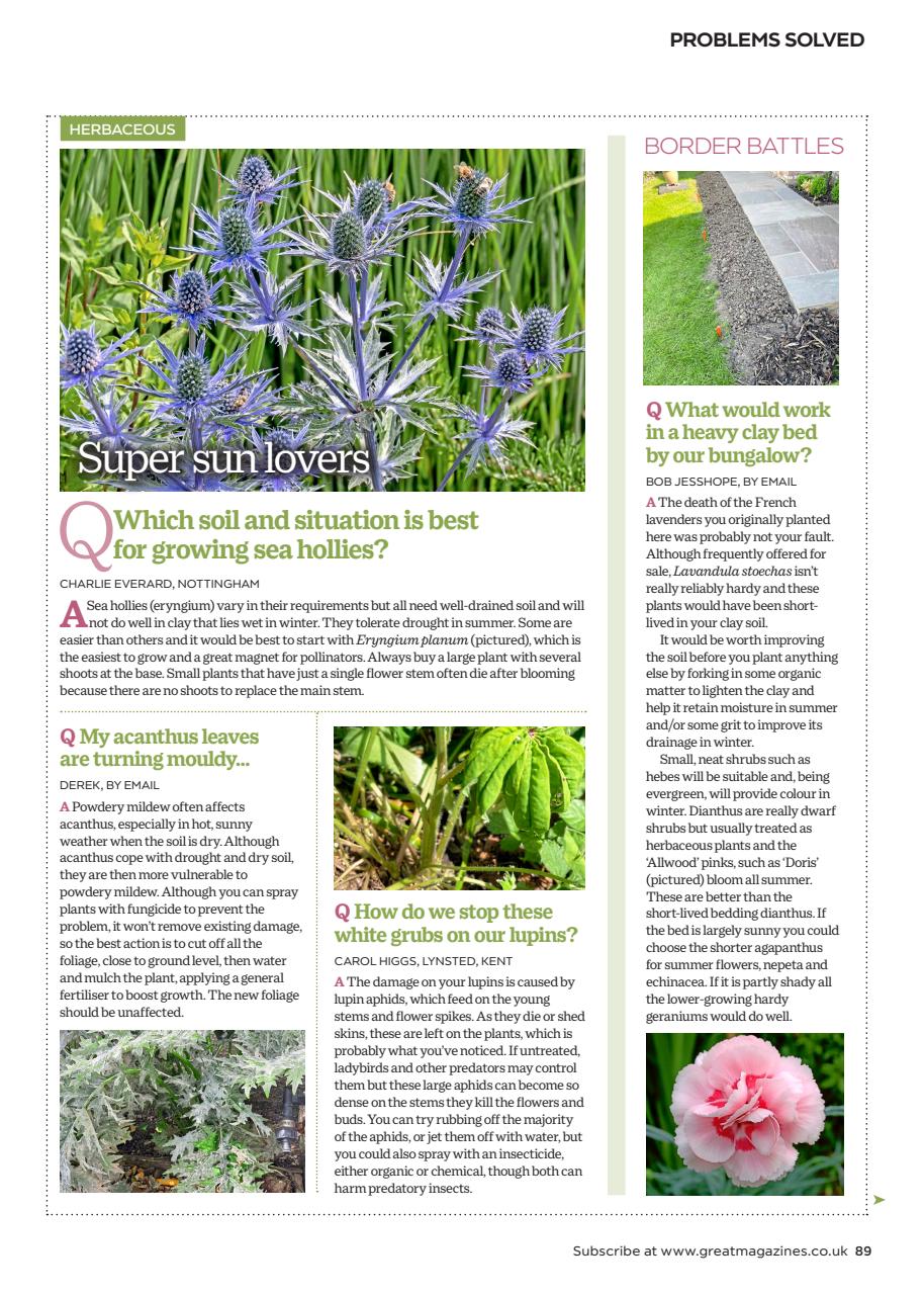 Garden Answers Preview Pages