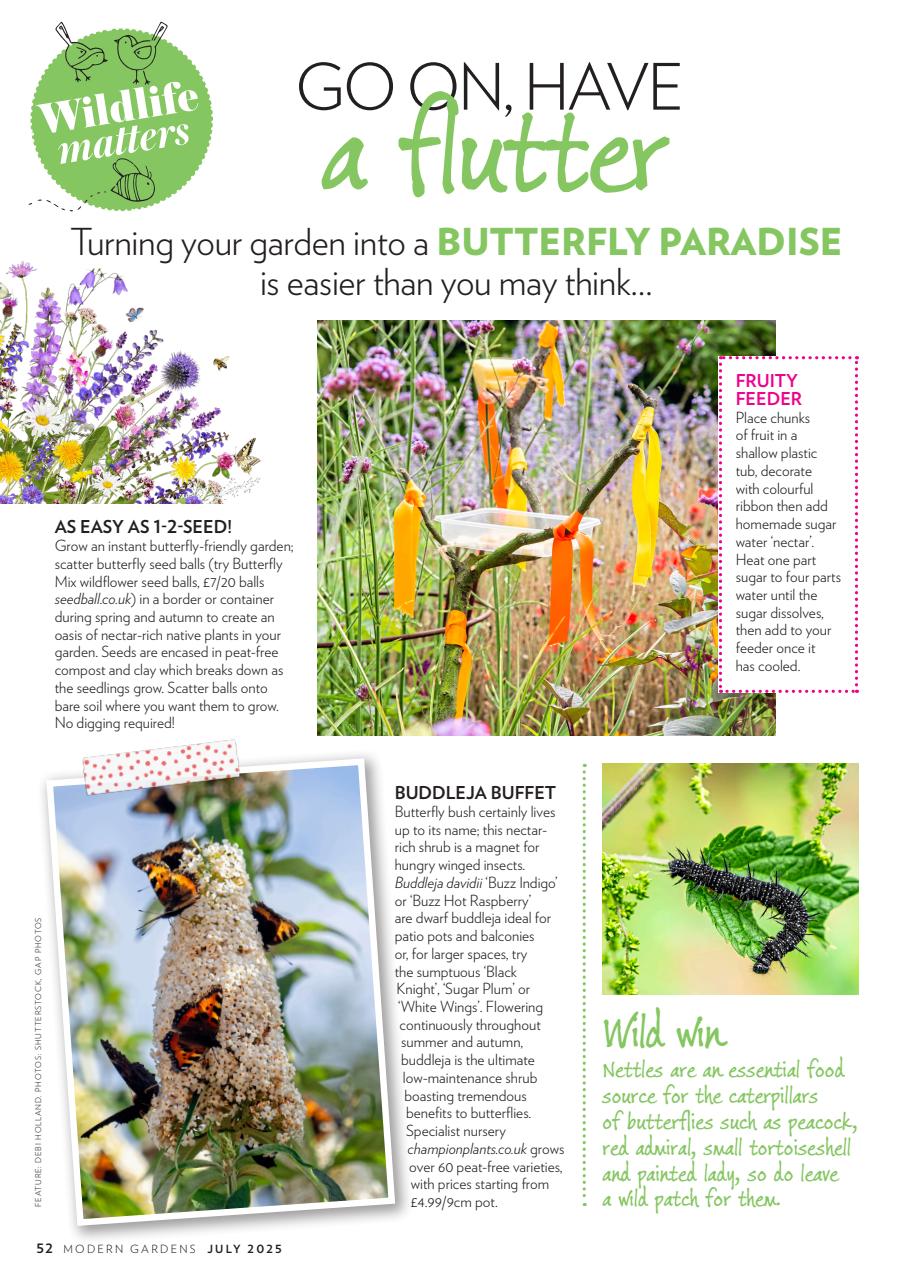 Modern Gardens Preview Pages