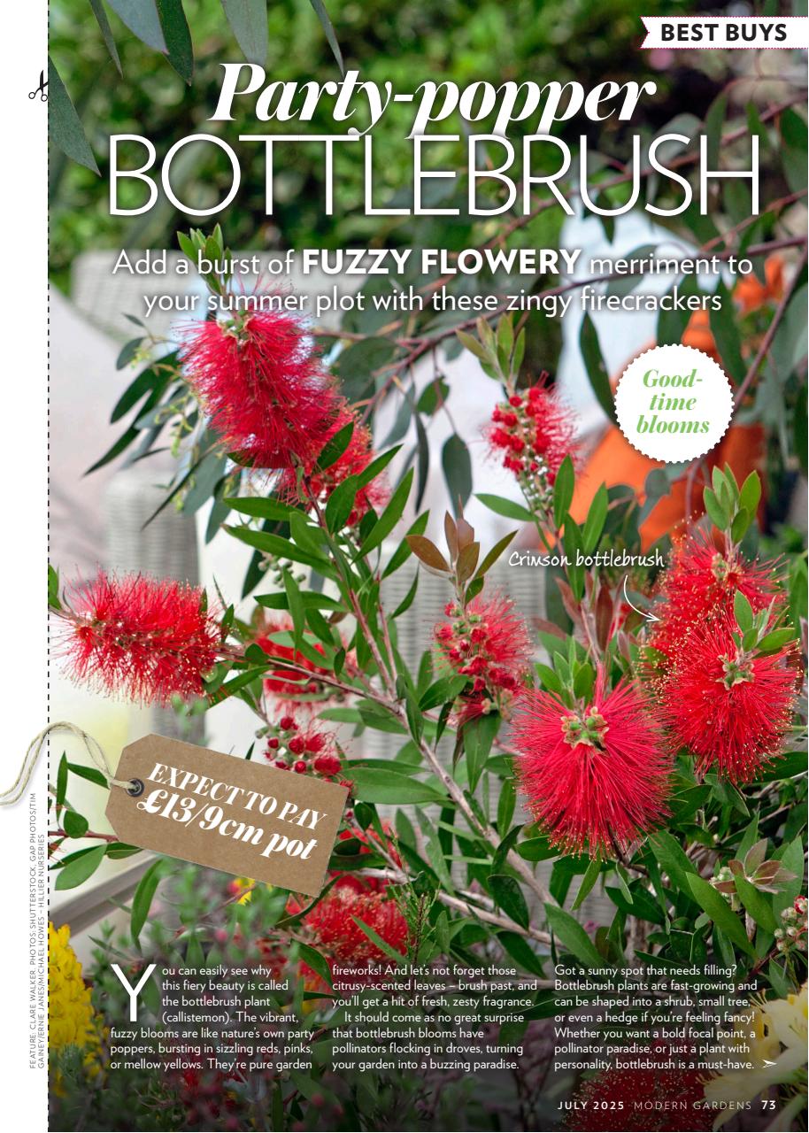 Modern Gardens Preview Pages