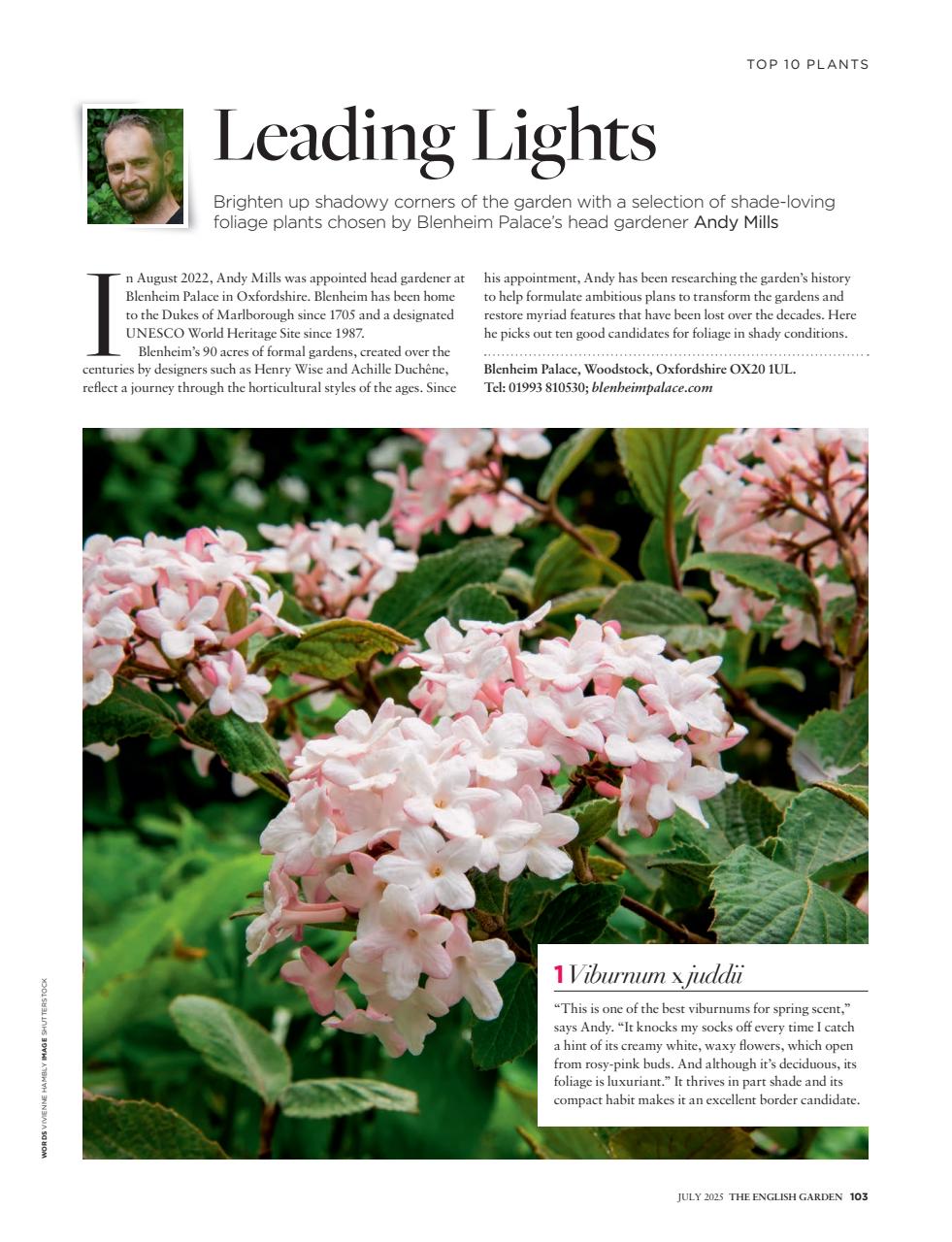 The English Garden Preview Pages