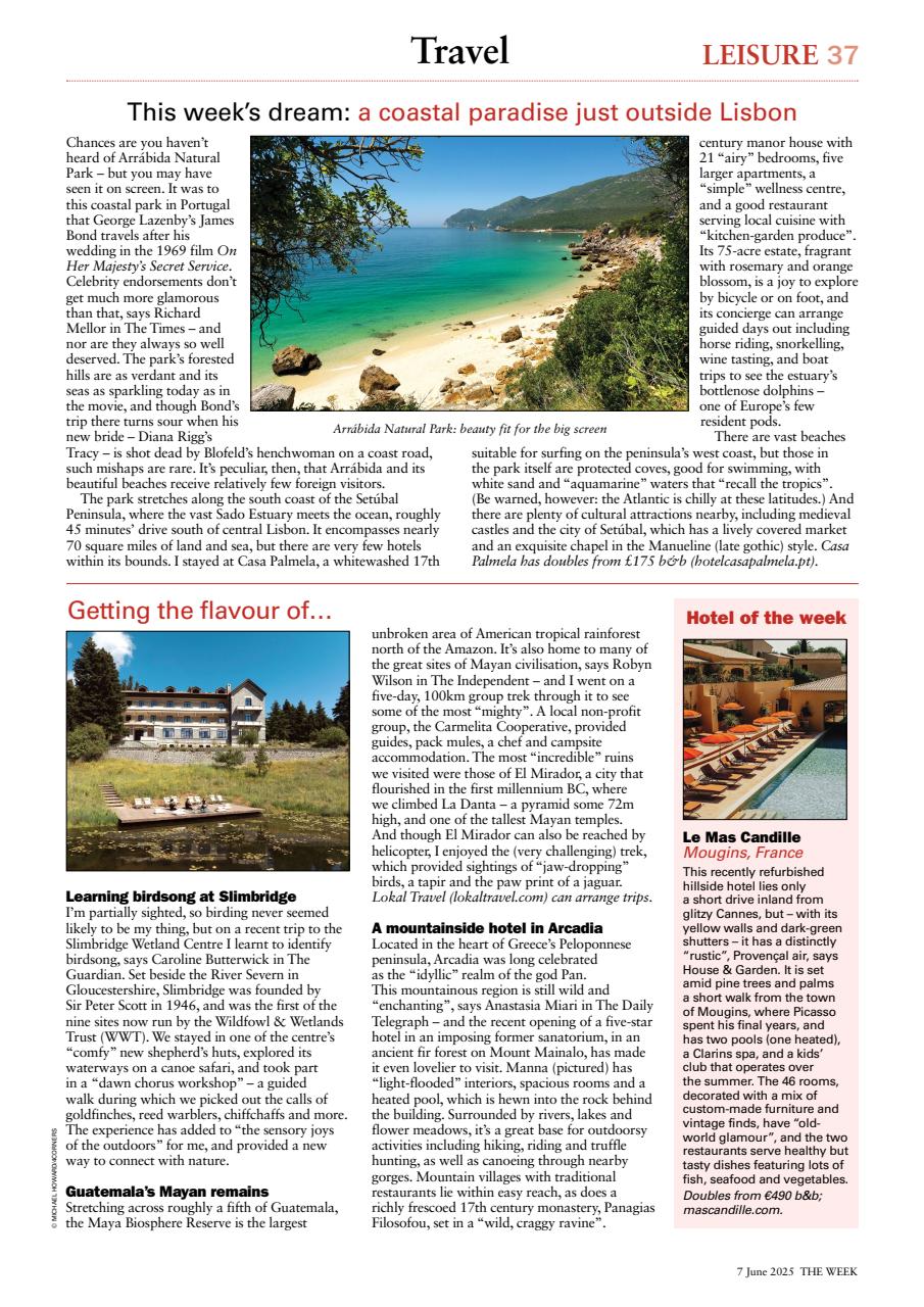 The Week Preview Pages