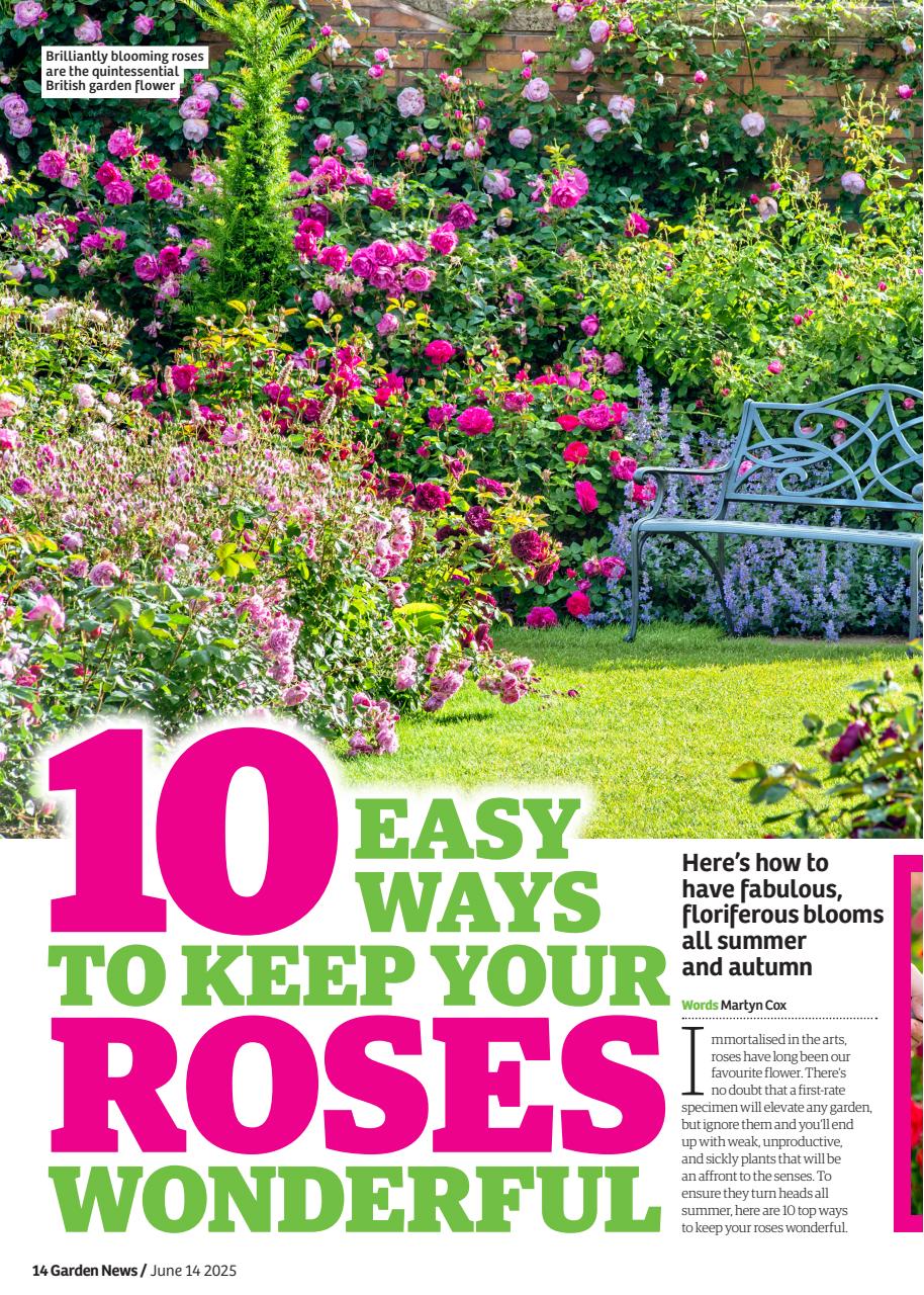 Garden News Preview Pages