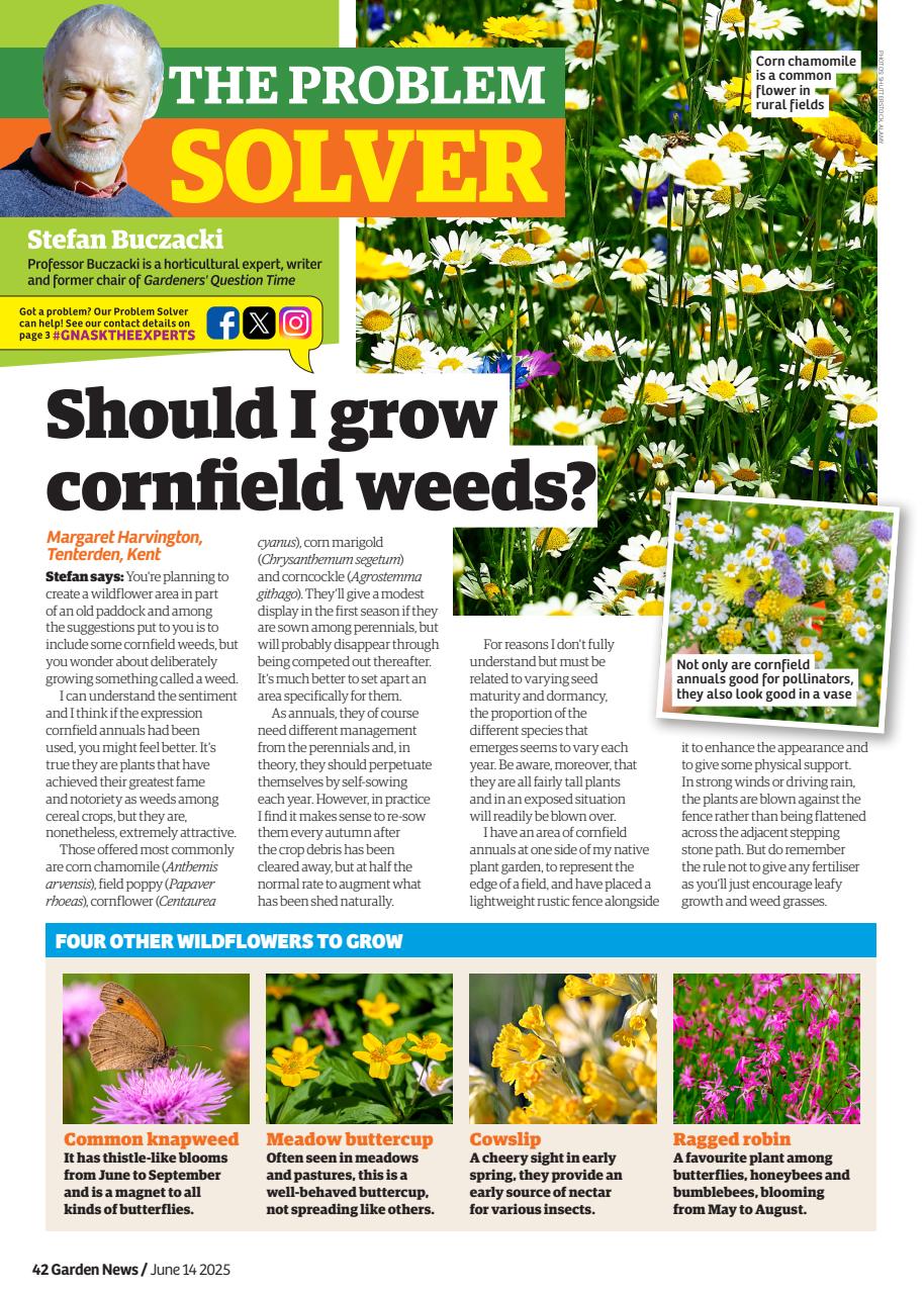 Garden News Preview Pages