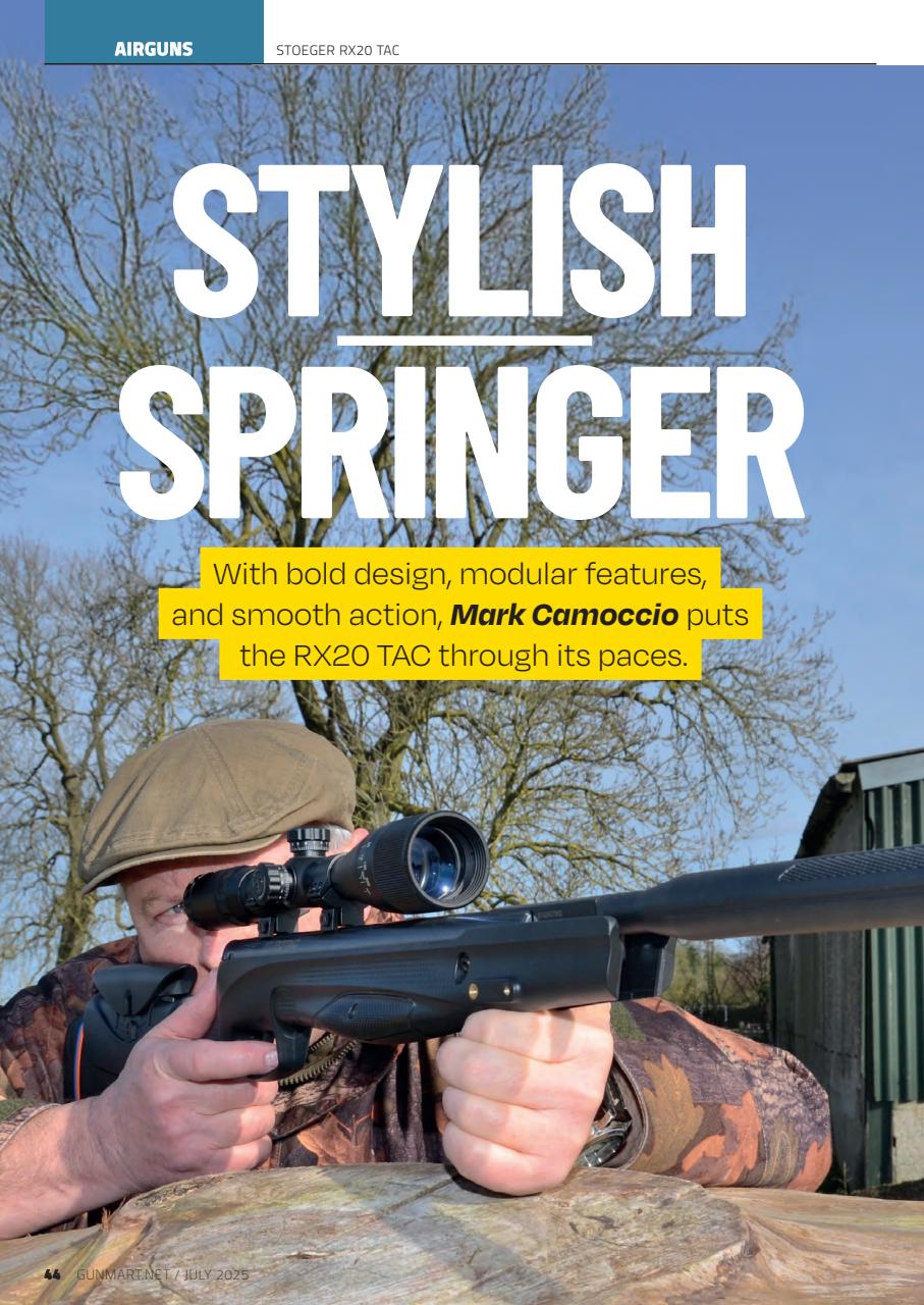 Gunmart Preview Pages