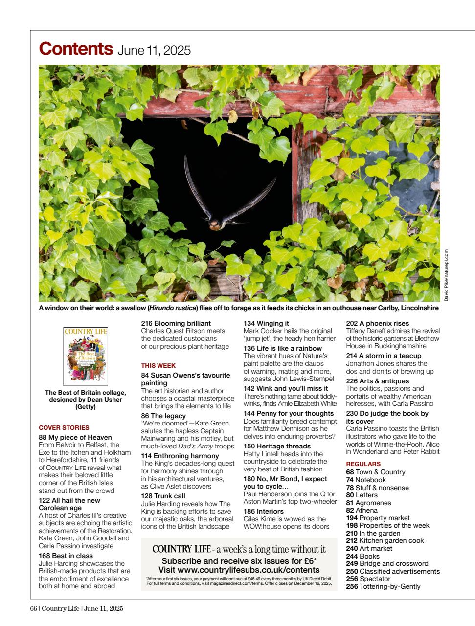 Country Life Preview Pages