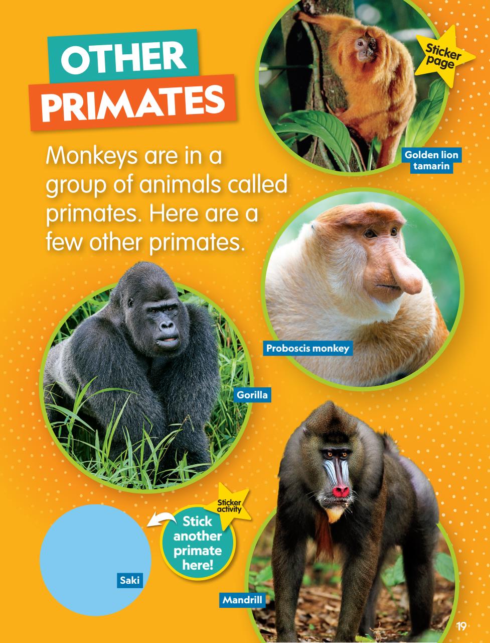National Geographic Little Kids Preview Pages