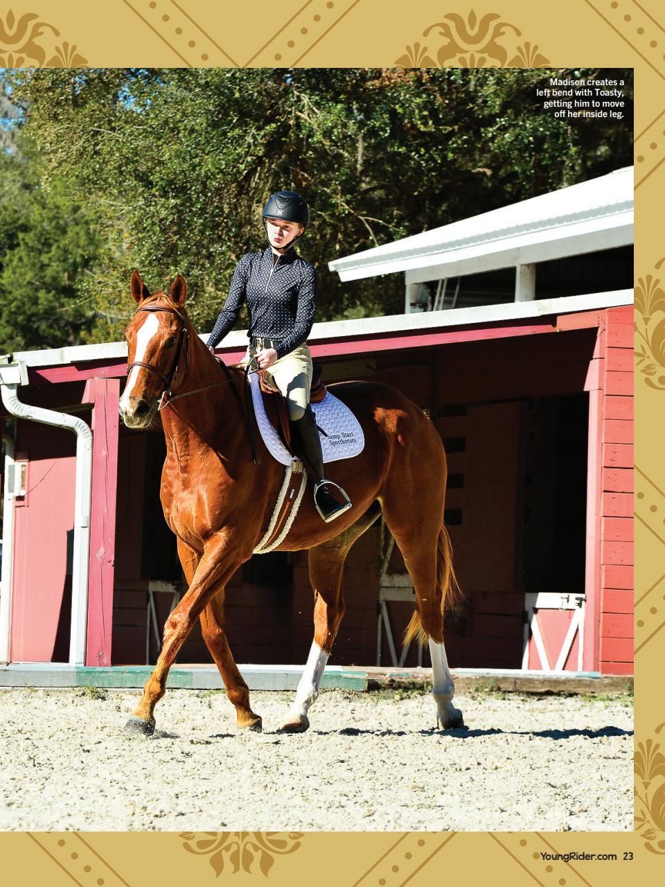 Young Rider Magazine Preview Pages