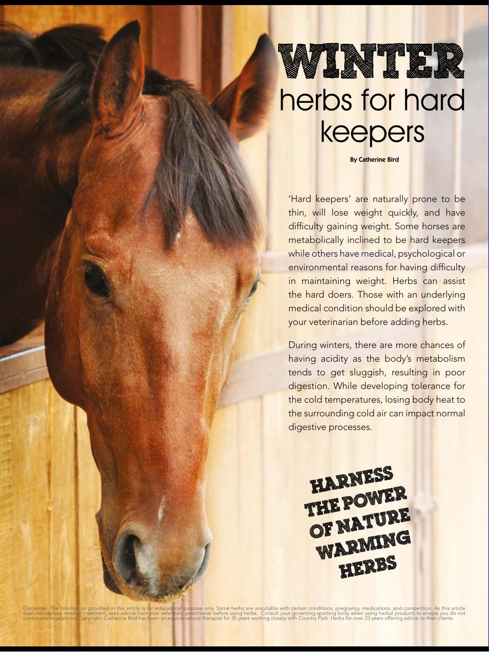 Hoofbeats Preview Pages