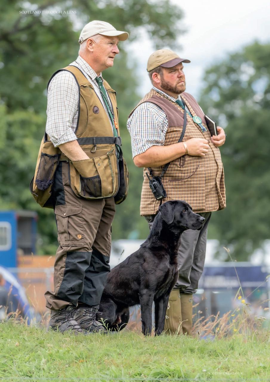 Scottish Field Preview Pages