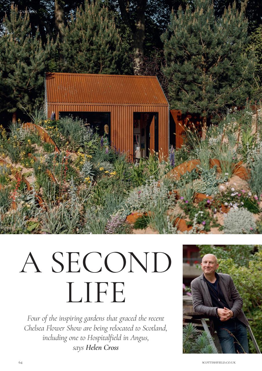 Scottish Field Preview Pages