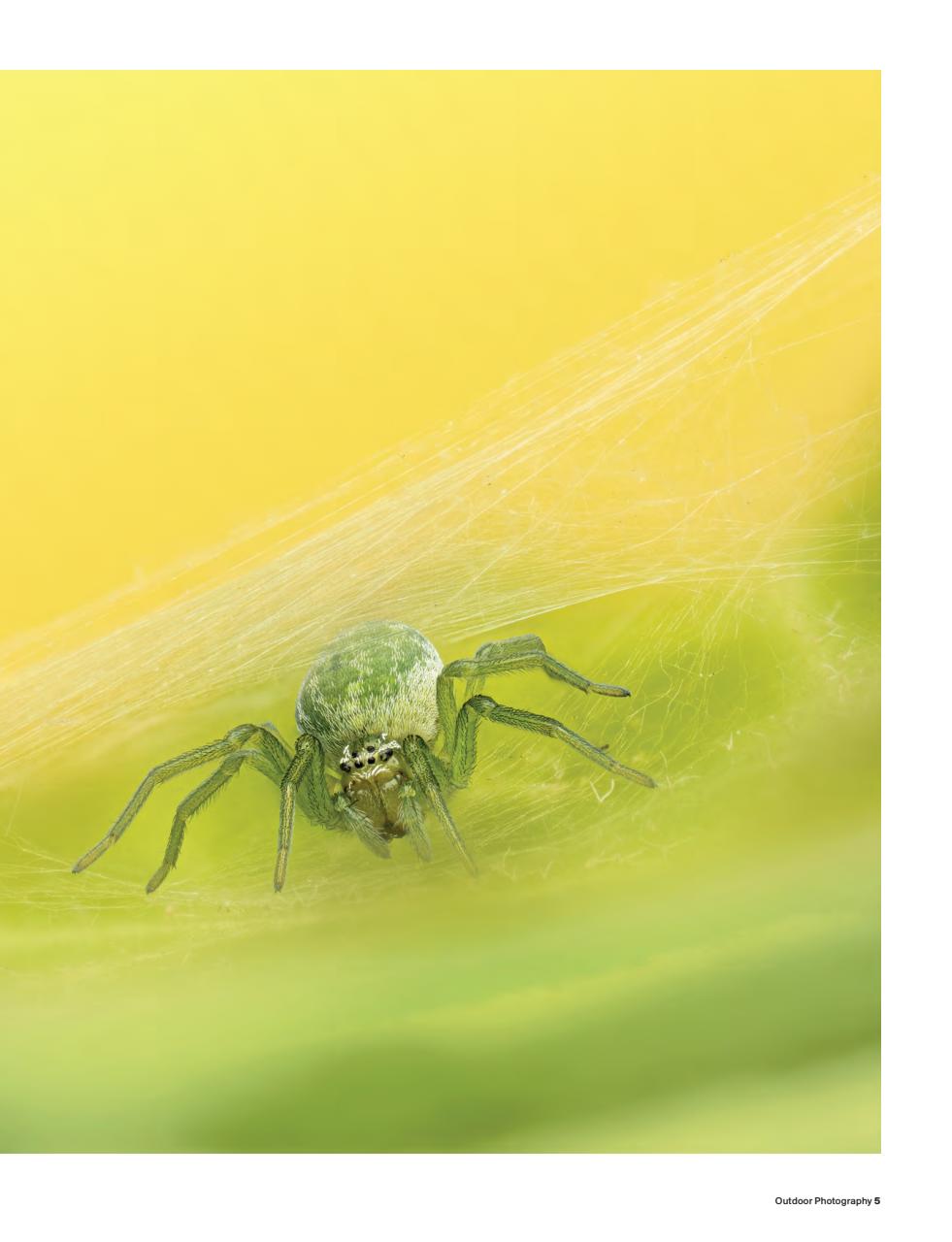 Outdoor Photography Preview Pages