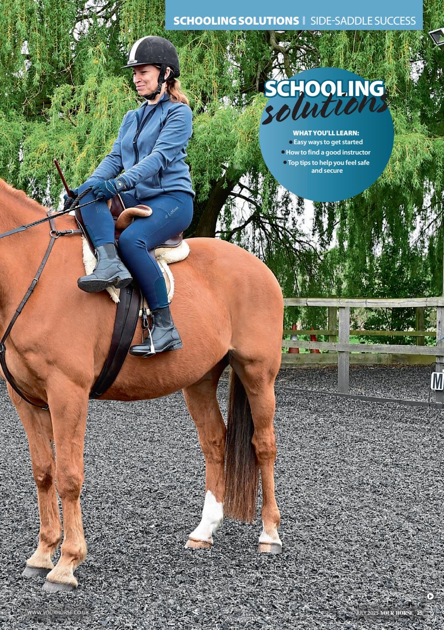 Your Horse Preview Pages