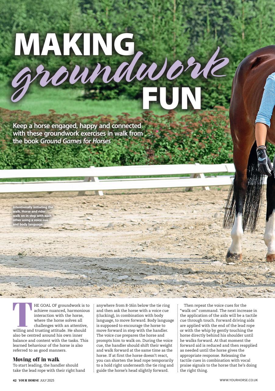 Your Horse Preview Pages