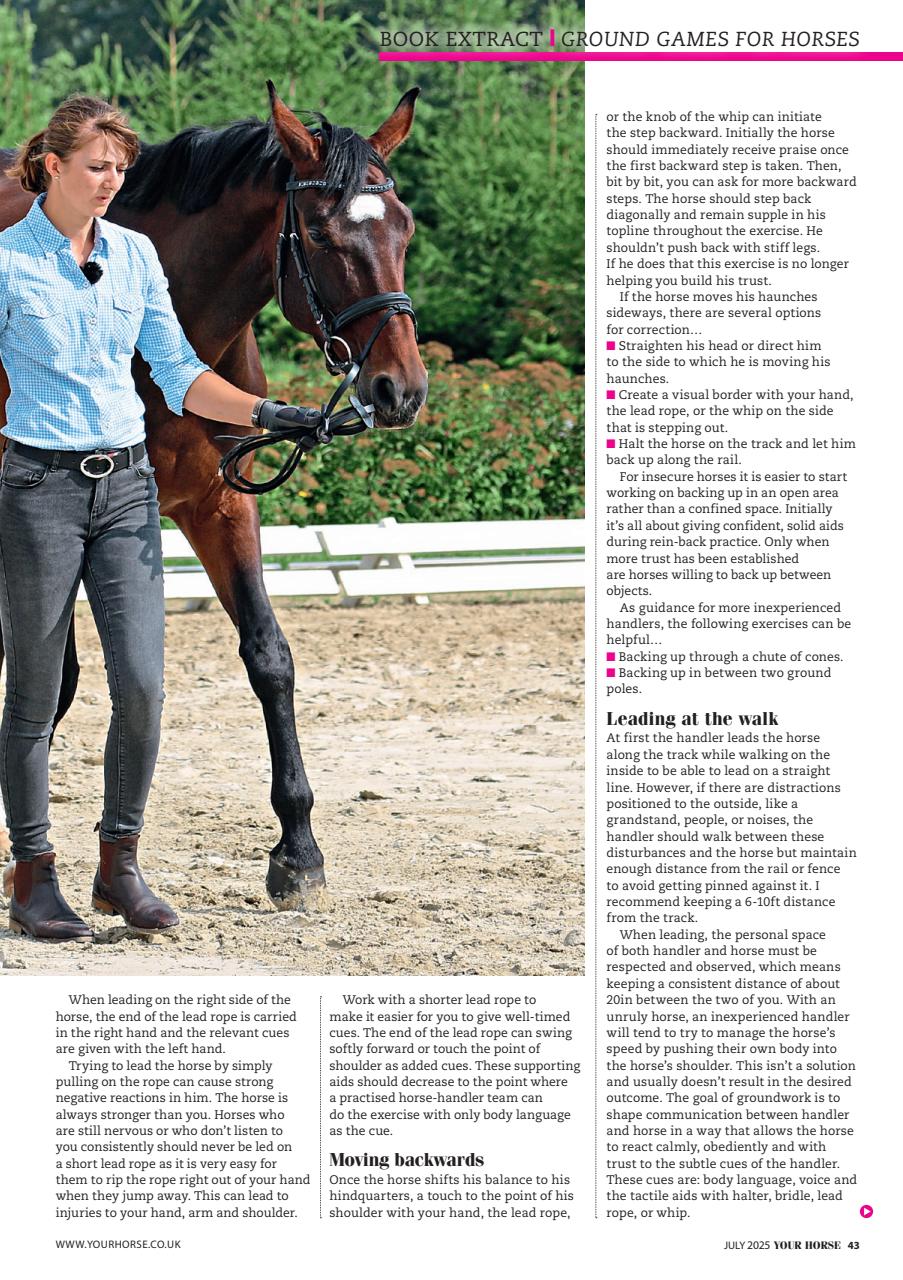 Your Horse Preview Pages