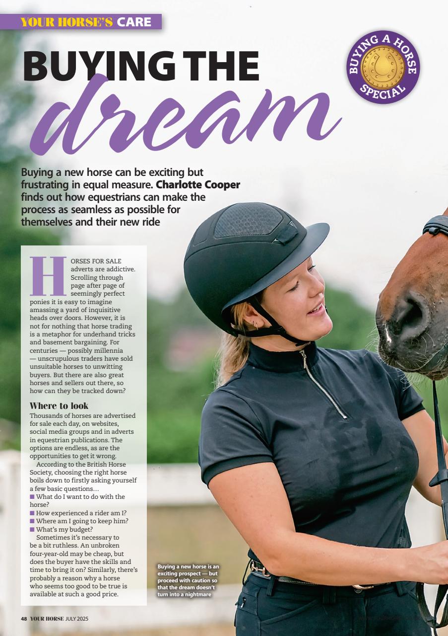 Your Horse Preview Pages