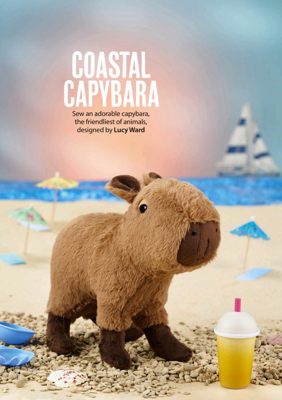 Simply Sewing Preview Pages