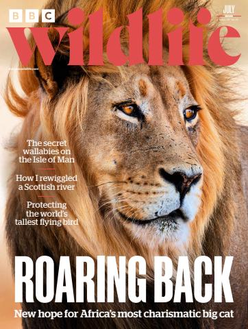 BBC Wildlife Magazine issue July 2025