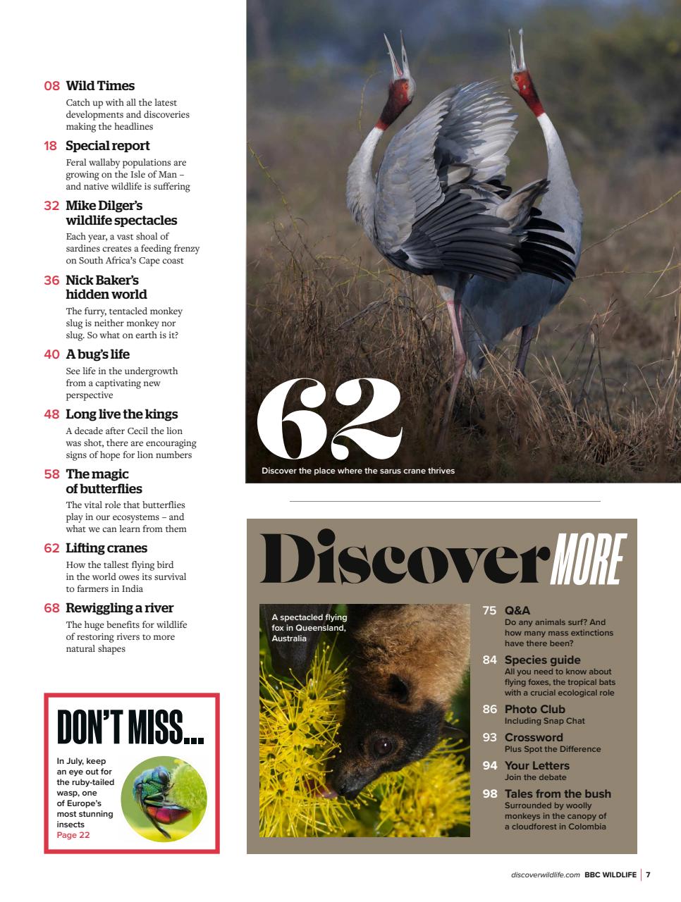 BBC Wildlife Magazine Preview Pages