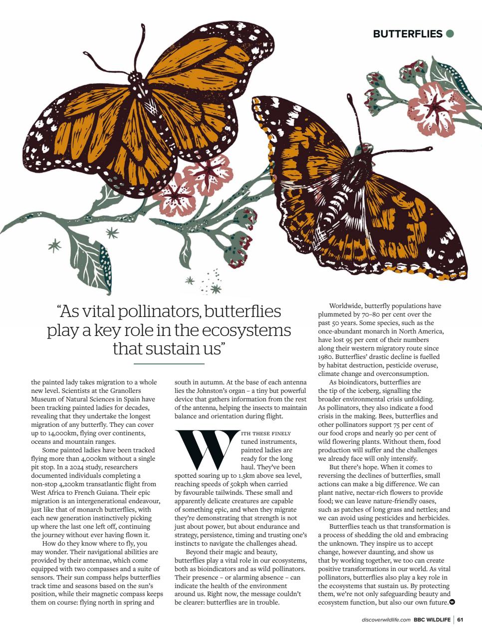 BBC Wildlife Magazine Preview Pages