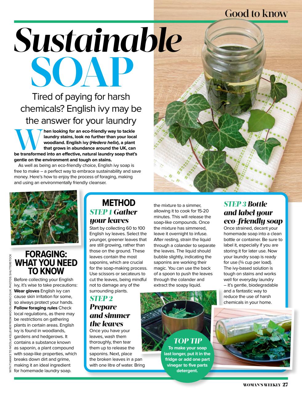 Woman's Weekly Preview Pages