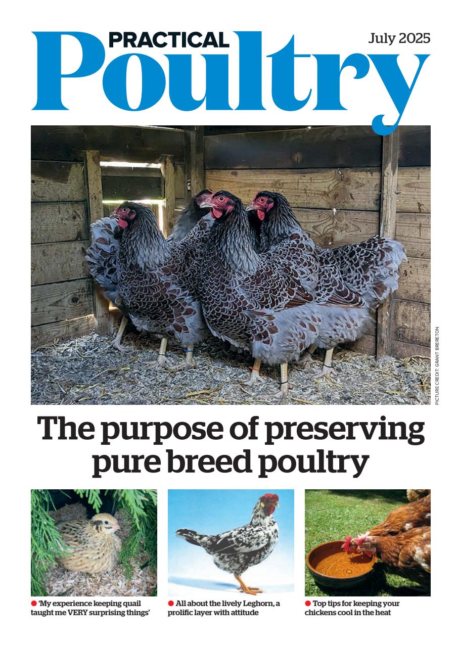 The Country Smallholder Preview Pages