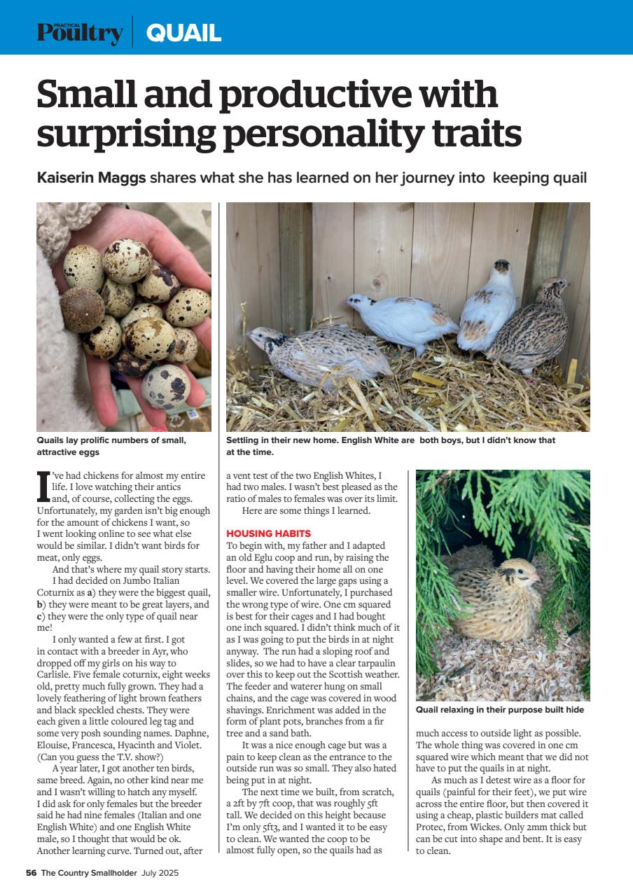 The Country Smallholder Preview Pages