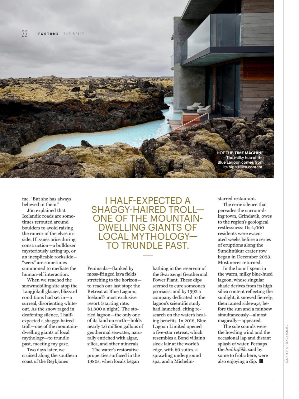 Fortune (Europe Edition) Preview Pages