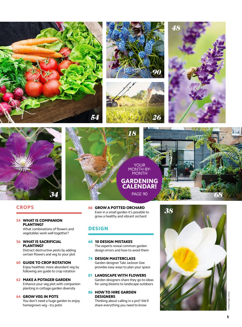 Home Interests Bookazine Preview Pages