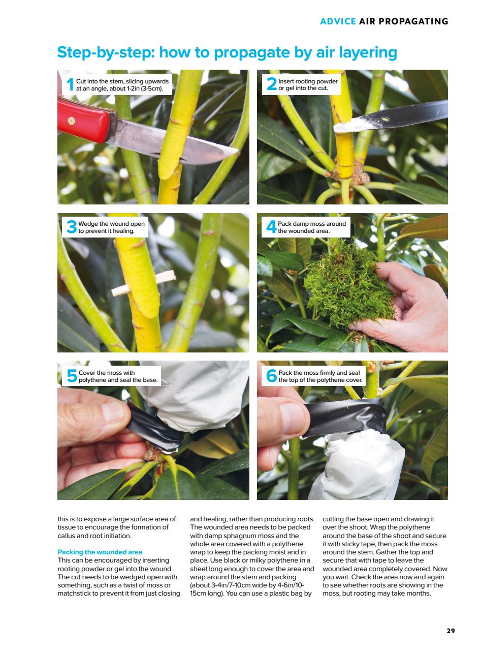 Home Interests Bookazine Preview Pages