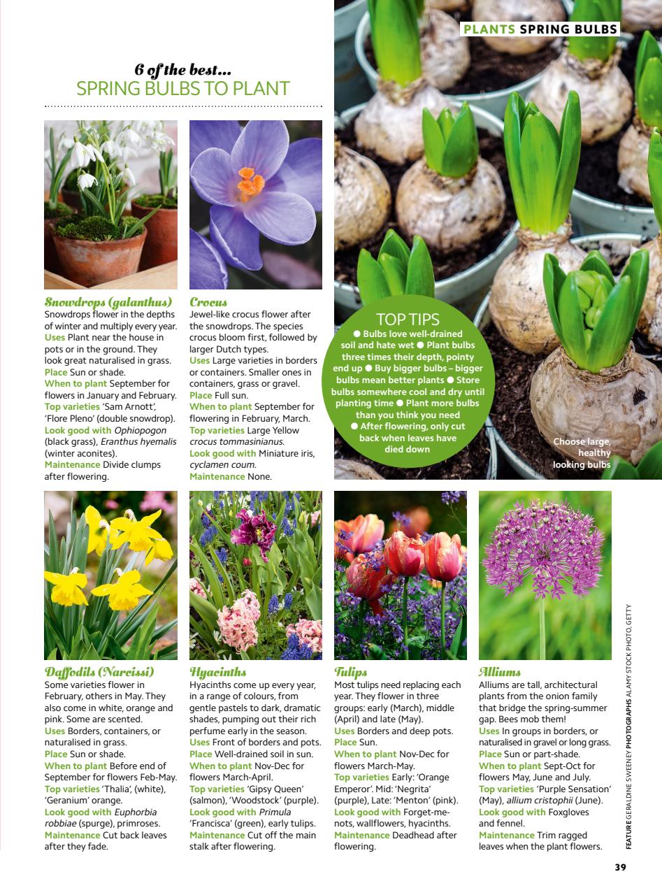 Home Interests Bookazine Preview Pages