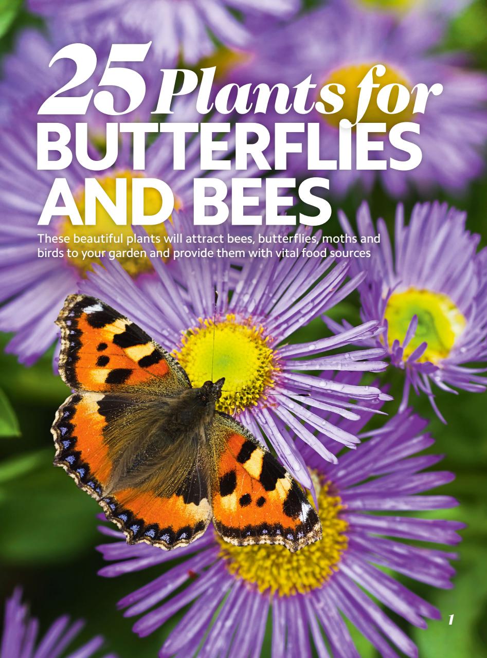 Home Interests Bookazine Preview Pages