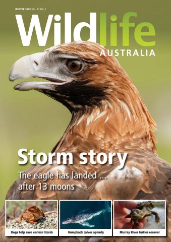 Wildlife Australia issue Winter 2025