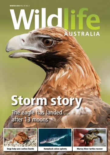 Wildlife Australia issue 