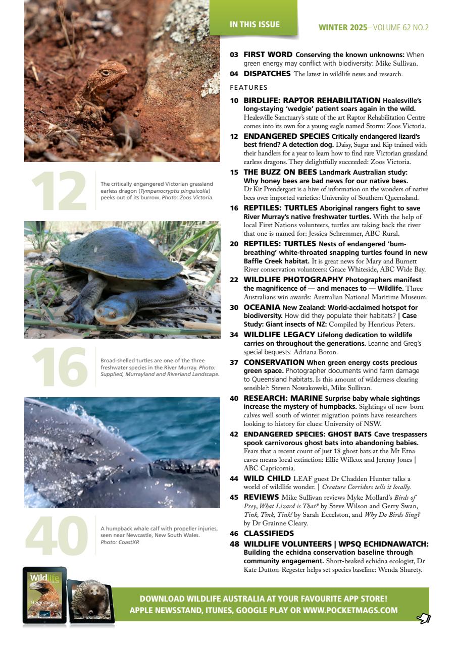 Wildlife Australia Preview Pages