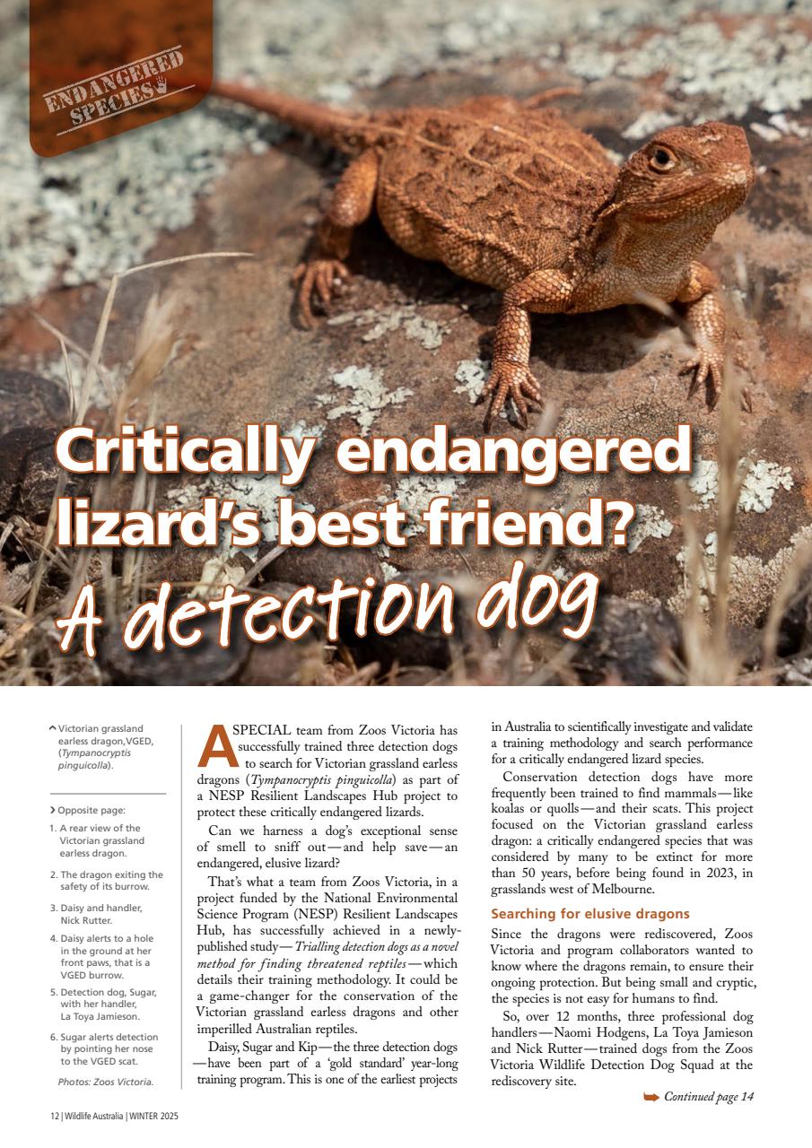 Wildlife Australia Preview Pages