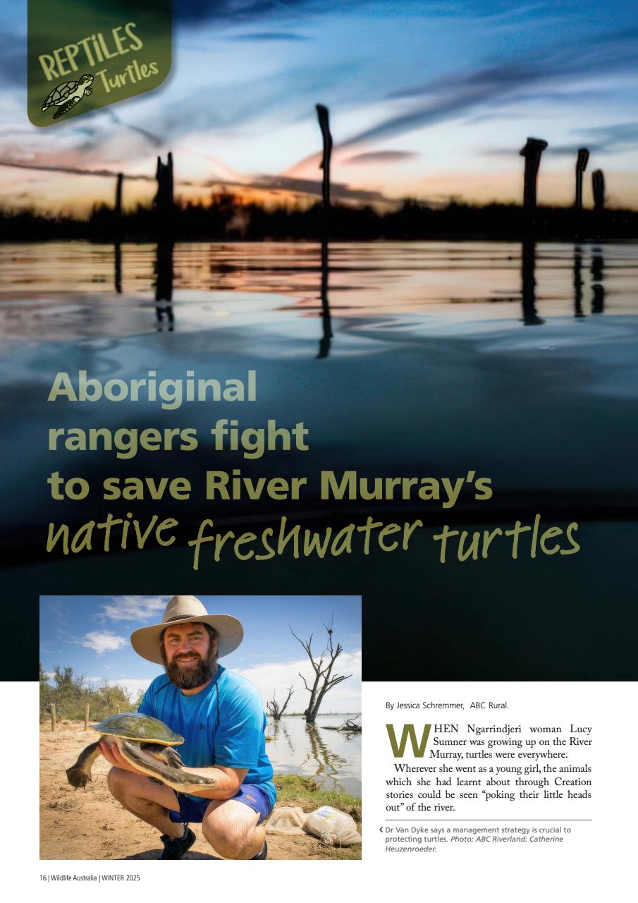 Wildlife Australia Preview Pages