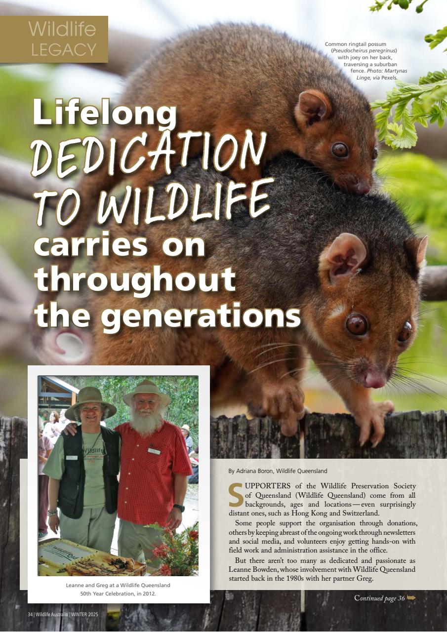 Wildlife Australia Preview Pages