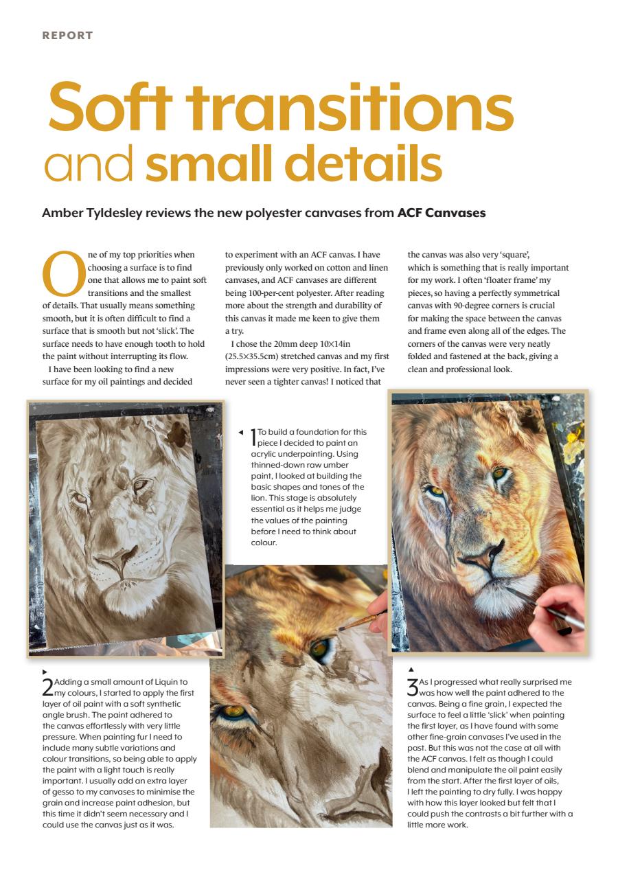 The Artist Preview Pages