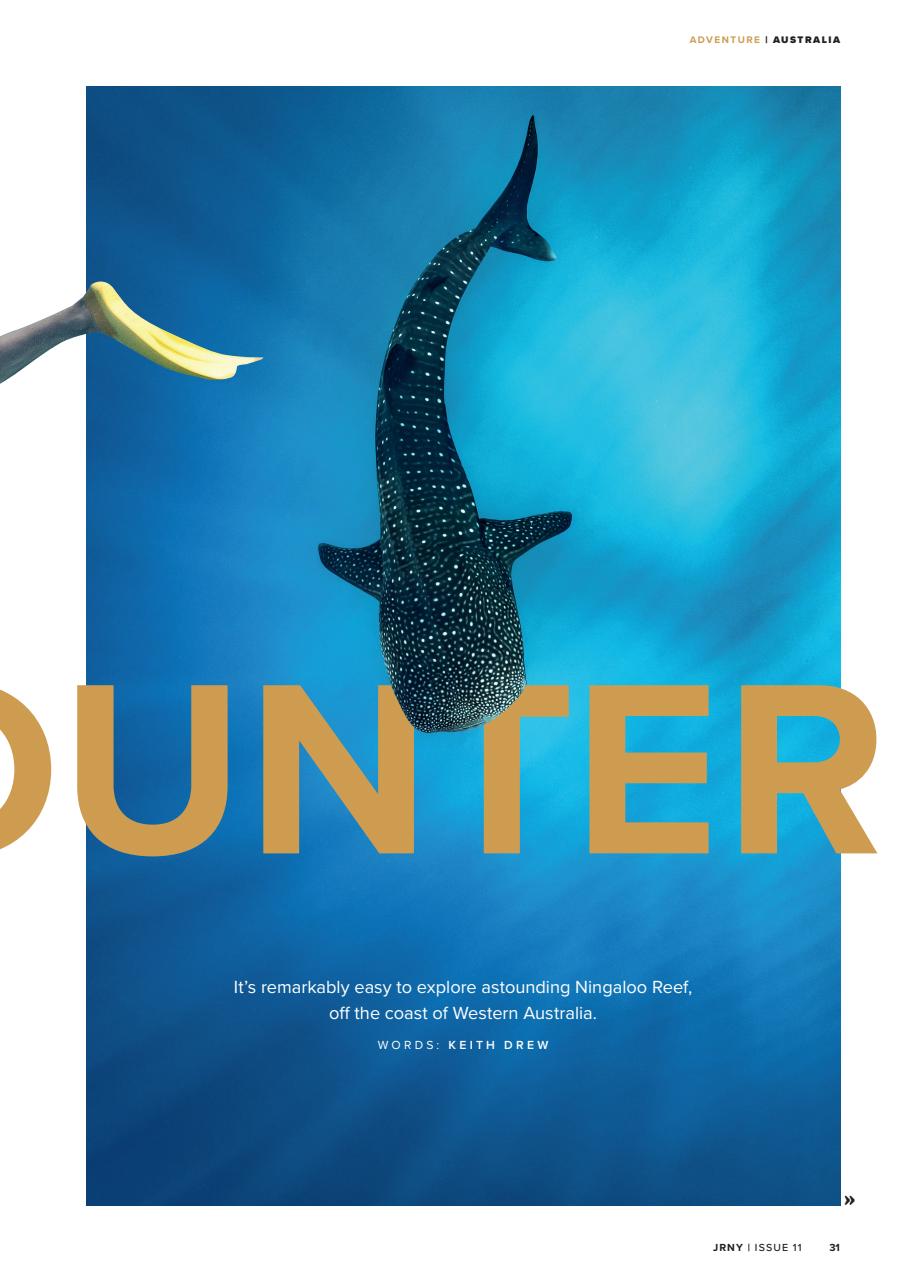 JRNY Travel Magazine Preview Pages