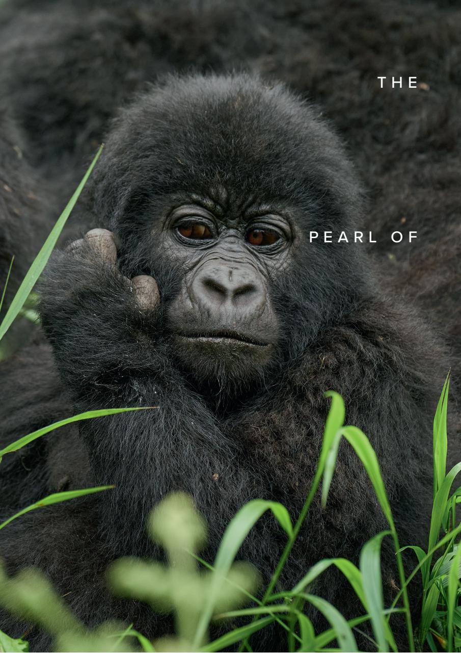 JRNY Travel Magazine Preview Pages