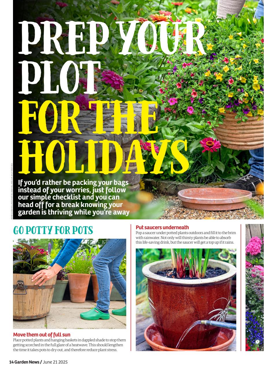 Garden News Preview Pages