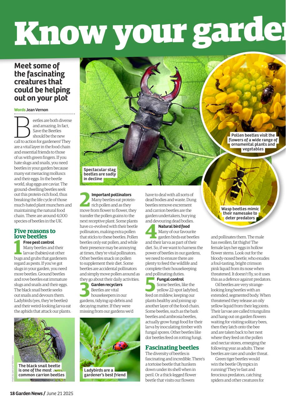 Garden News Preview Pages