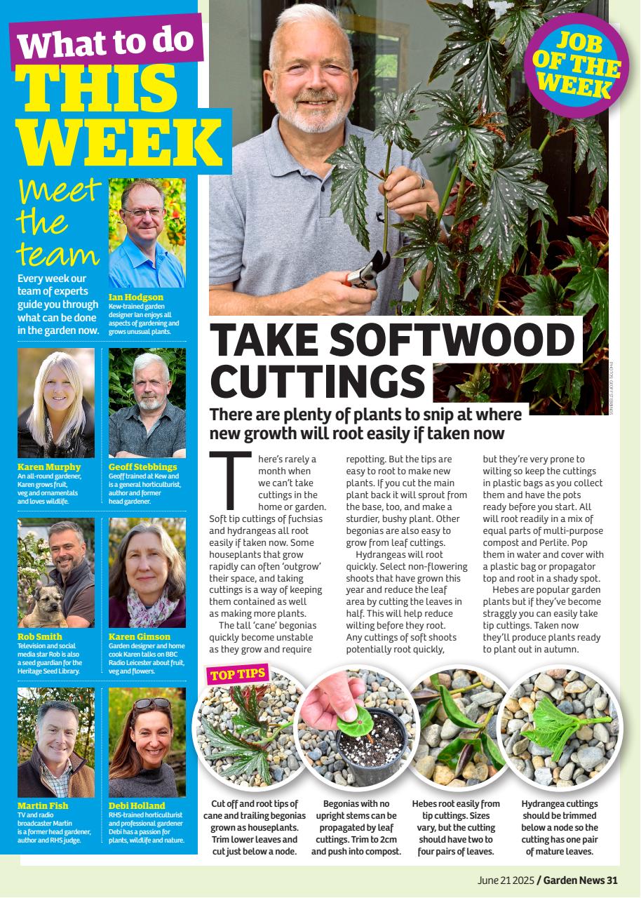 Garden News Preview Pages