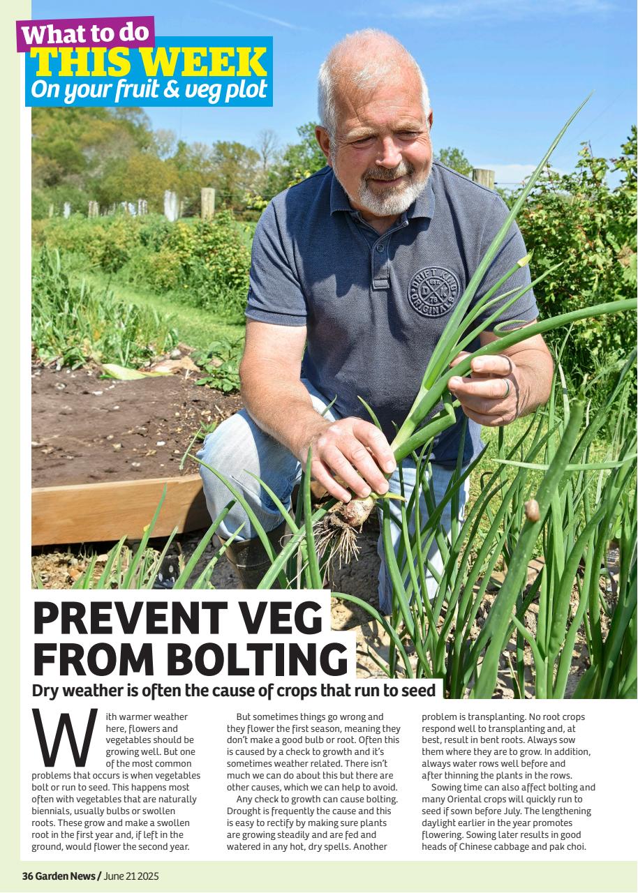 Garden News Preview Pages