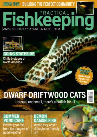 Practical Fishkeeping issue July 2025