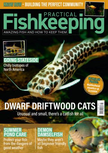 Practical Fishkeeping issue 