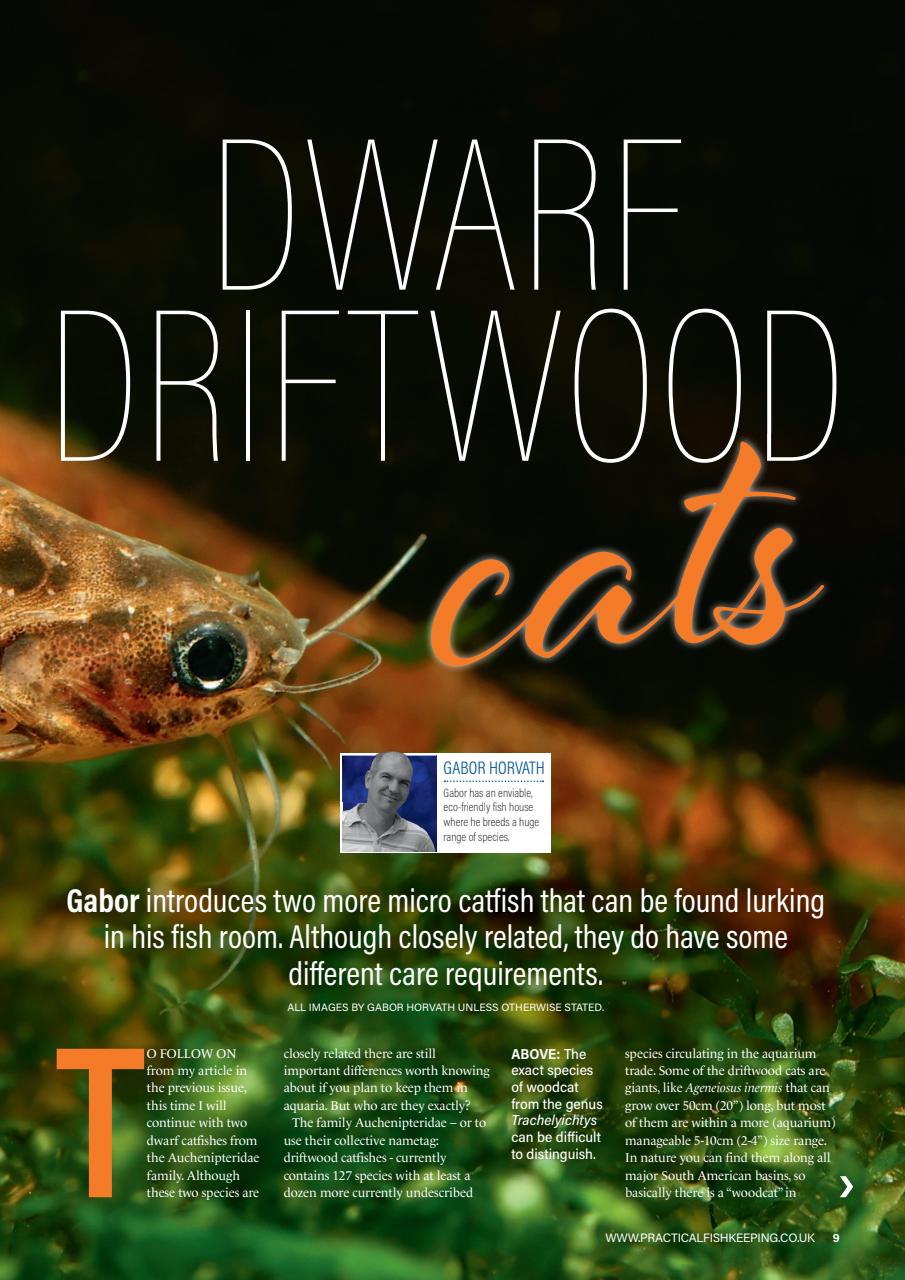 Practical Fishkeeping Preview Pages