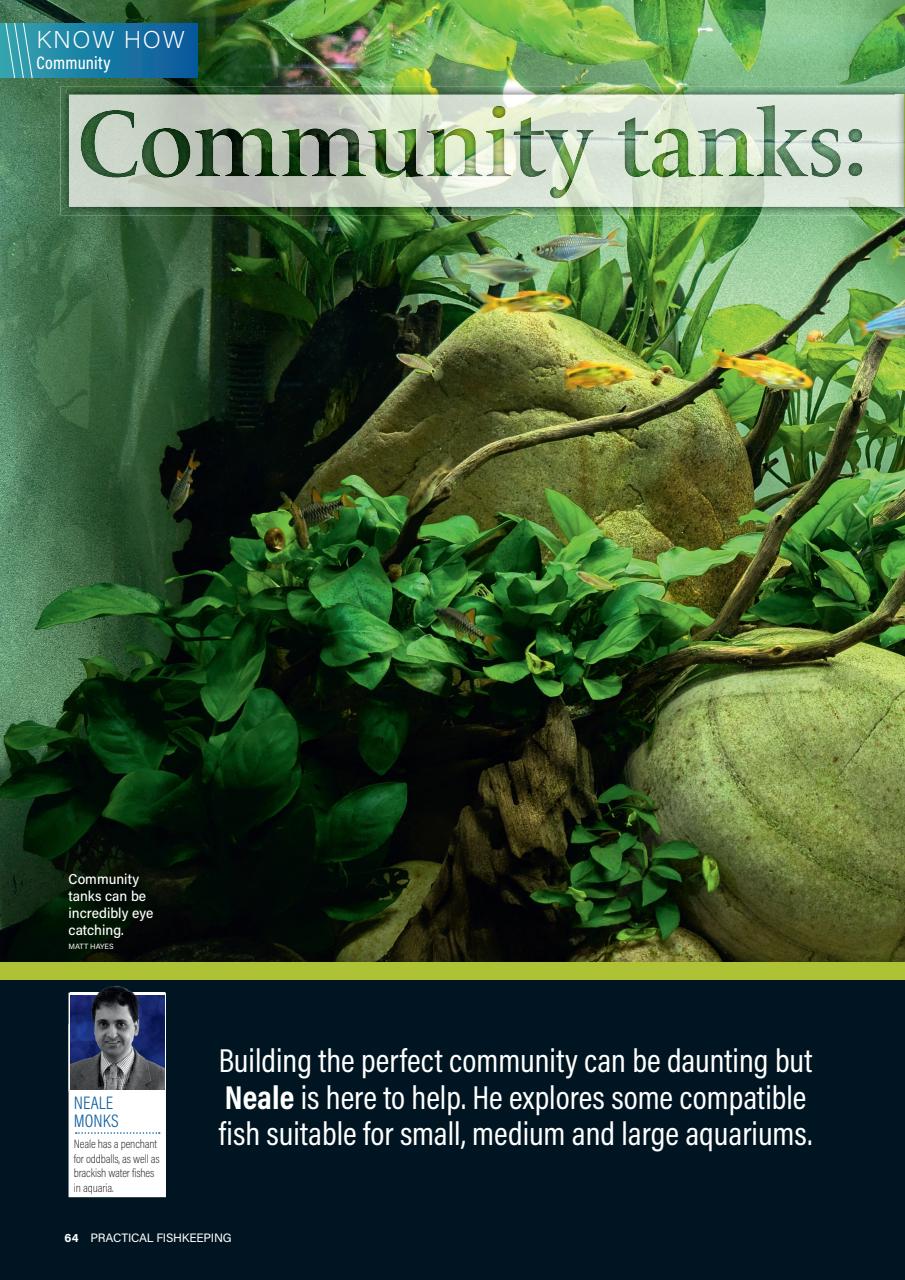 Practical Fishkeeping Preview Pages