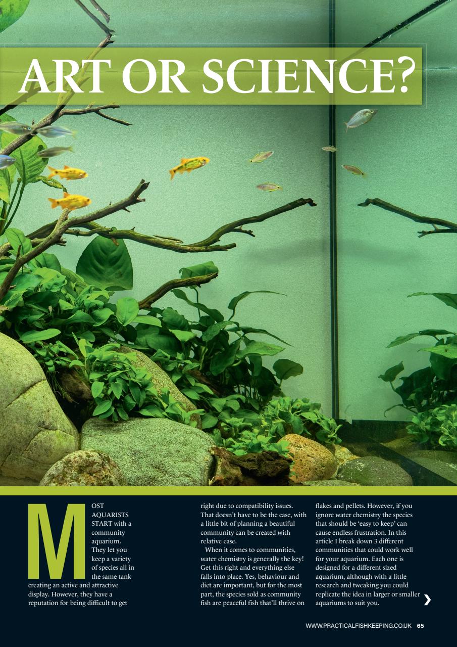 Practical Fishkeeping Preview Pages